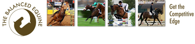 The Balanced Equine - Get the competitive edge